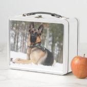 Duitse herder in sneeuw (In situ)