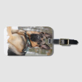 Duitse herder in sneeuw bagagelabel (Voorkant (horizontaal))