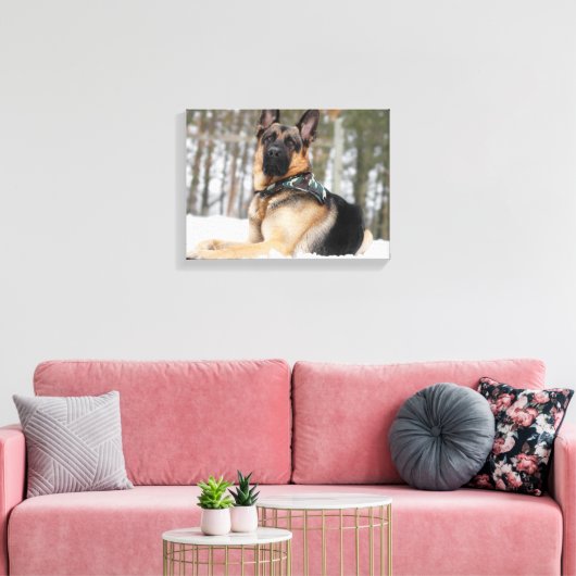 Duitse herder in sneeuw canvas afdruk (Insitu (Woonkamer))
