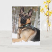 Duitse herder in sneeuw kaart (Gele Bloem)