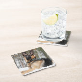 Duitse herder in sneeuw kartonnen onderzetters (Insitu)