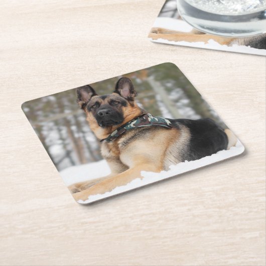 Duitse herder in sneeuw kartonnen onderzetters (Schuin)