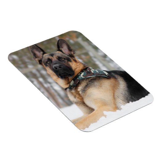 Duitse herder in sneeuw magneet (Rechterzijde)