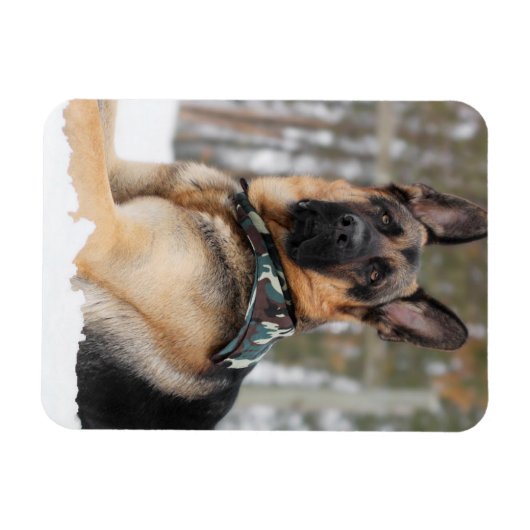 Duitse herder in sneeuw magneet (Horizontaal)