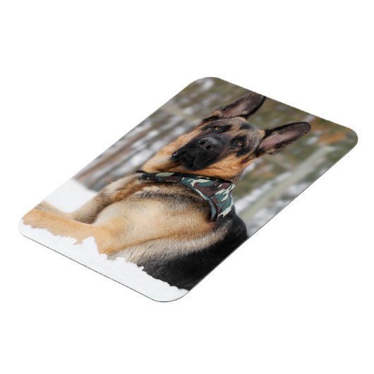 Duitse herder in sneeuw magneet (Linkerzijde)