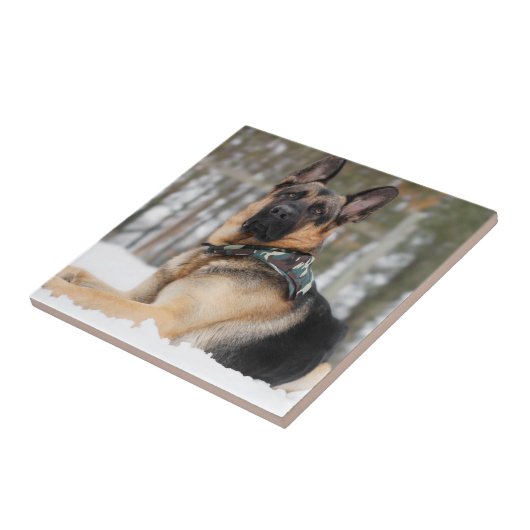 Duitse herder in sneeuw tegeltje (Zijkant)