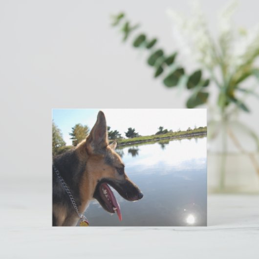 Duitse herder/joeit met het Uitzicht Briefkaart (Staand voorkant)