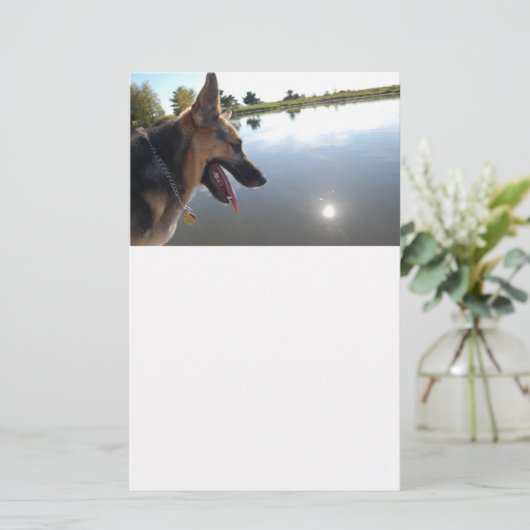 Duitse herder/joeit met het Uitzicht Briefpapier (Staand voorkant)