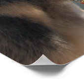 Duitse herder/joeit met het Uitzicht Poster (Hoek)