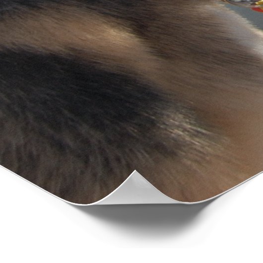 Duitse herder/joeit met het Uitzicht Poster (Hoek)