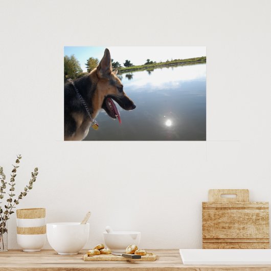 Duitse herder/joeit met het Uitzicht Poster (Keuken)