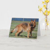 Duitse herder kaart (Gele Bloem)