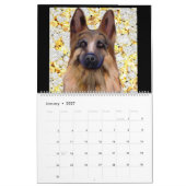Duitse Herder Kalender (Jan 2027)