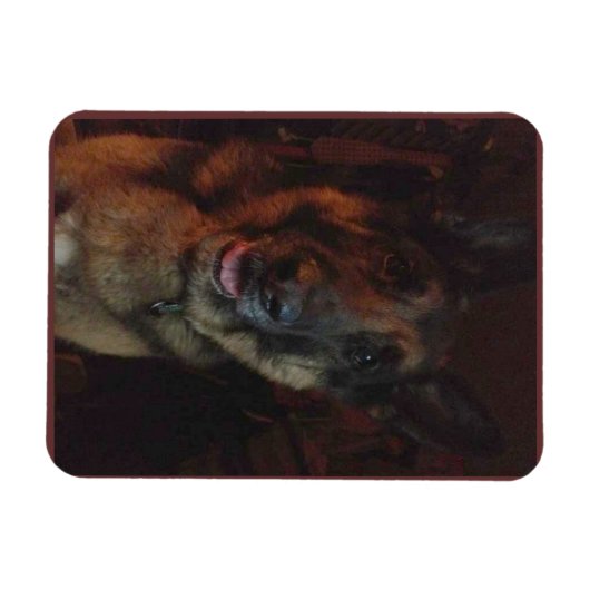 Duitse Herder Koelkast magneet (Horizontaal)