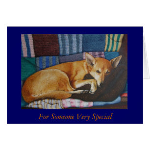 duitse herder labrador mixing dog portretten