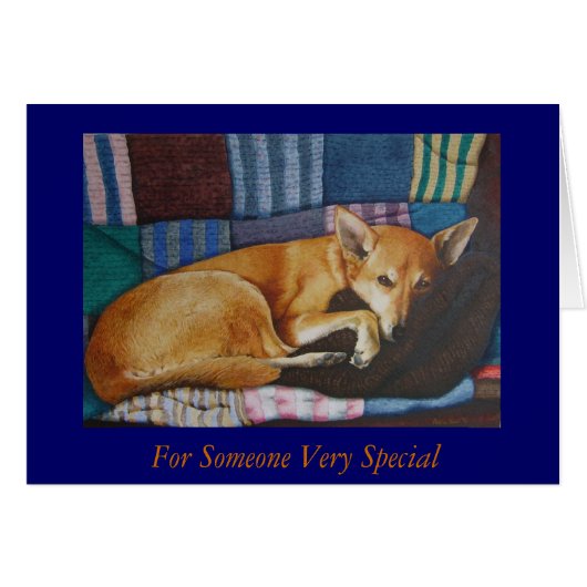 duitse herder labrador mixing dog portretten (Voorkant Horizontaal)