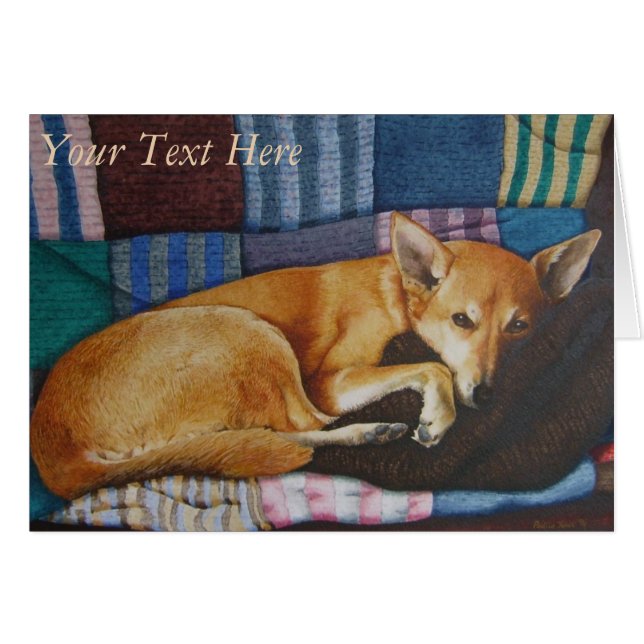 duitse herder labrador mixing dog portretten (Voorkant Horizontaal)