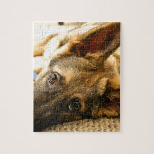 Duitse herder legpuzzel