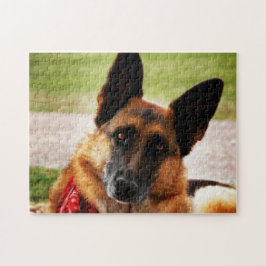 Duitse herder legpuzzel