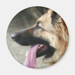 Duitse herder magneet