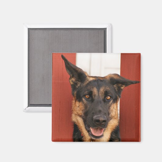 Duitse Herder magneet 2 (Voorkant / Achterkant)