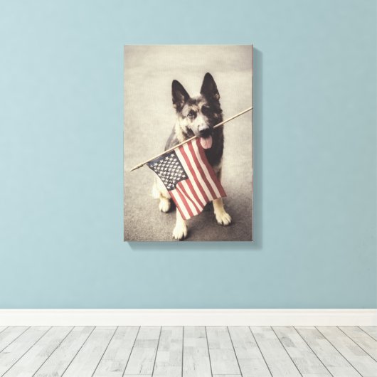 Duitse herder met Amerikaanse vlag Canvas Afdruk (Insitu (Houten vloer))