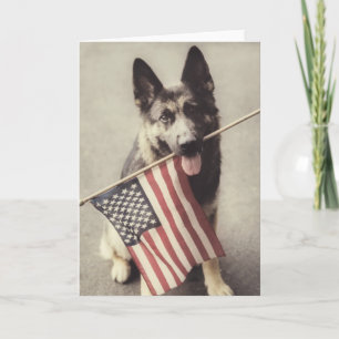 Duitse herder met Amerikaanse vlag Kaart