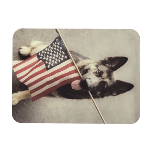 Duitse herder met Amerikaanse vlag Magneet (Horizontaal)