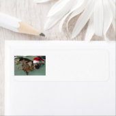 Duitse herder met een pet met een kerstmantel etiket (Insitu)