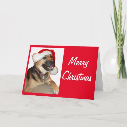 Duitse herder met Pet voor de kerstman Kaart (Voorkant)