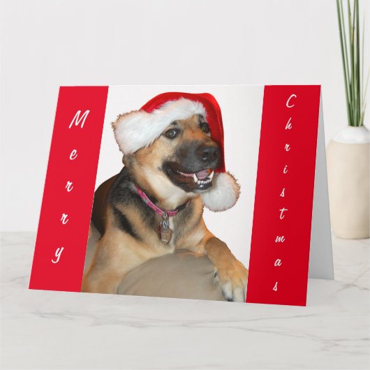 Duitse herder met Pet voor de kerstman Kaart (Voorkant)