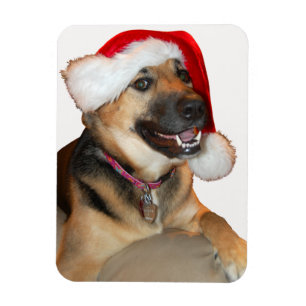 Duitse herder met Pet voor de kerstman Magneet