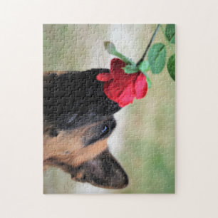 Duitse herder met rode roos legpuzzel