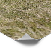  Duitse herder met Schattige Puppies Poster (Hoek)