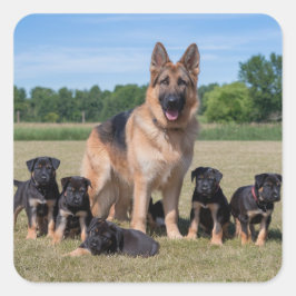 Duitse herder met Schattige Puppies Vierkante Sticker
