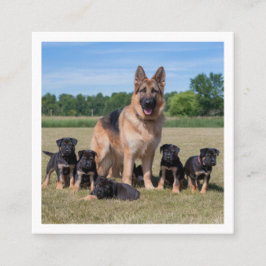  Duitse herder met Schattige Puppies Vierkante Visitekaartje