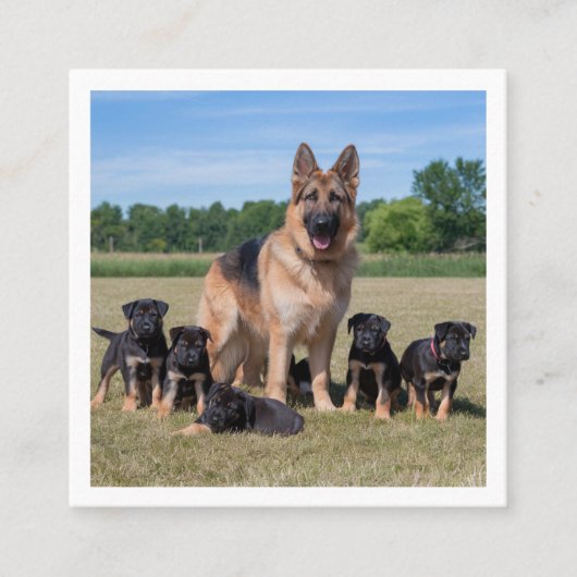  Duitse herder met Schattige Puppies Vierkante Visitekaartje (Voorkant)