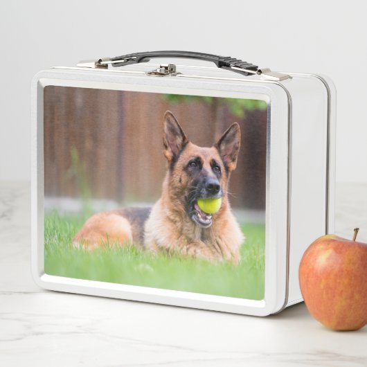 Duitse herder met Tennis Ball (In situ)