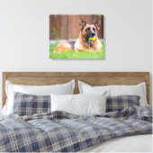 Duitse herder met Tennis Ball Canvas Afdruk (Insitu (Slaapkamer))