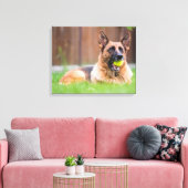 Duitse herder met Tennis Ball Canvas Afdruk (Insitu (Woonkamer))