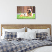 Duitse herder met Tennis Ball Canvas Afdruk (Insitu (Slaapkamer))