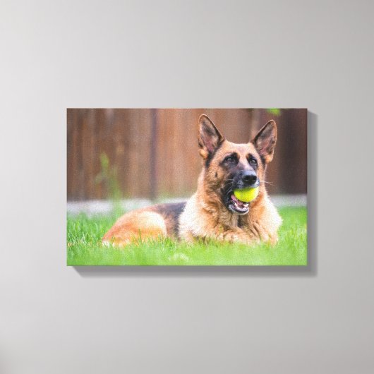 Duitse herder met Tennis Ball Canvas Afdruk (Voorkant)