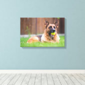 Duitse herder met Tennis Ball Canvas Afdruk (Insitu (Houten vloer))