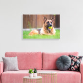 Duitse herder met Tennis Ball Canvas Afdruk (Insitu (Woonkamer))