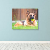 Duitse herder met Tennis Ball Canvas Afdruk (Insitu (Houten vloer))