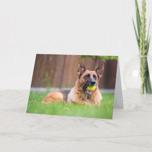 Duitse herder met Tennis Ball Kaart