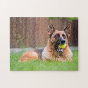 Duitse herder met Tennis Ball Legpuzzel