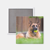 Duitse herder met Tennis Ball Magneet (Voorkant / Achterkant)