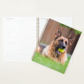 Duitse herder met Tennis Ball Planner (Display)