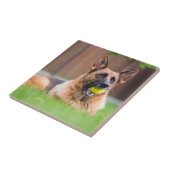 Duitse herder met Tennis Ball Tegeltje (Zijkant)